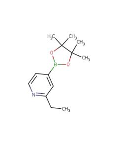 Astatech (2-ETHYLPYRIDIN-4-YL)BORONIC ACID PINACOL ESTER ; 1G; Purity 90%; MDL-MFCD09952046